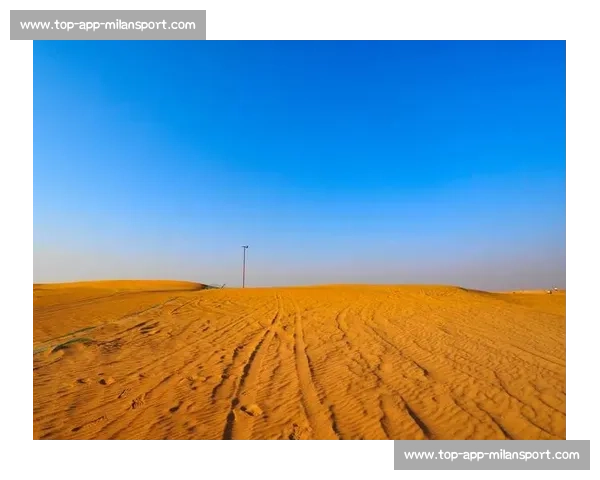 阳光沙海燃动青岛：世界沙排巡回赛演绎肌肉线条与海浪的交响